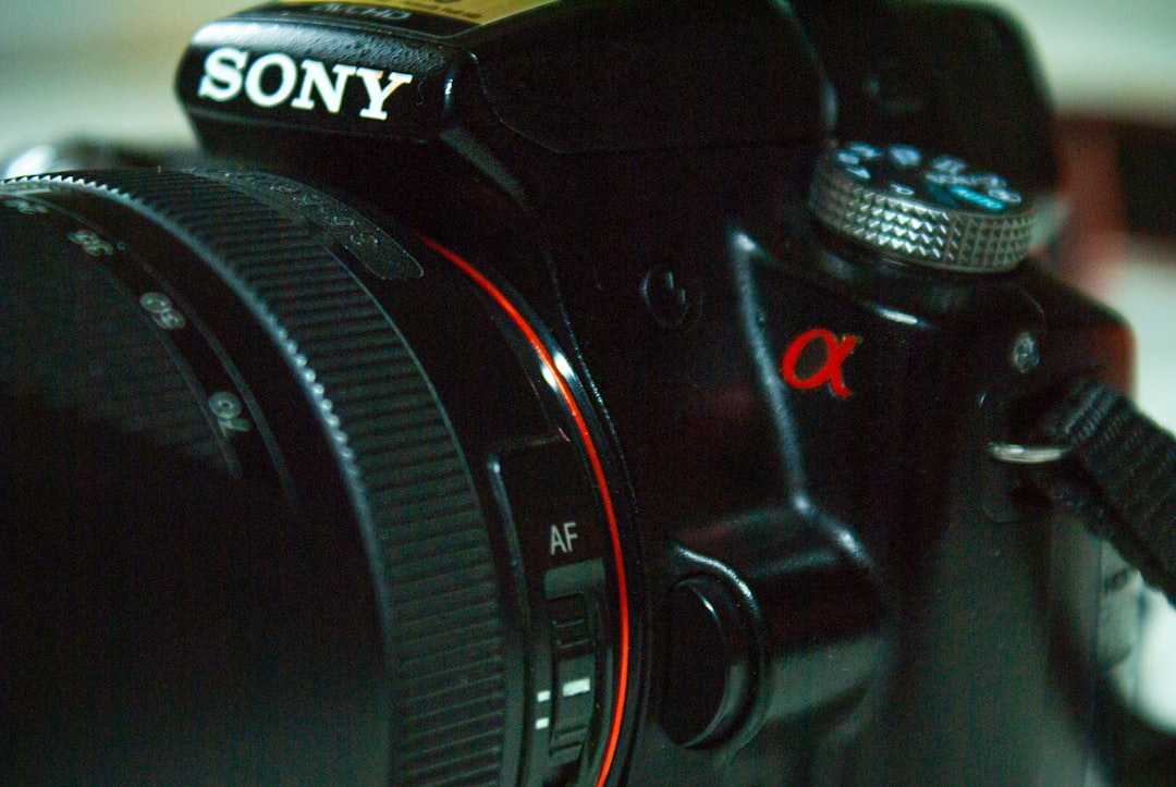 Capturing Moments: A Guide to Choosing the Right Photography Equipment